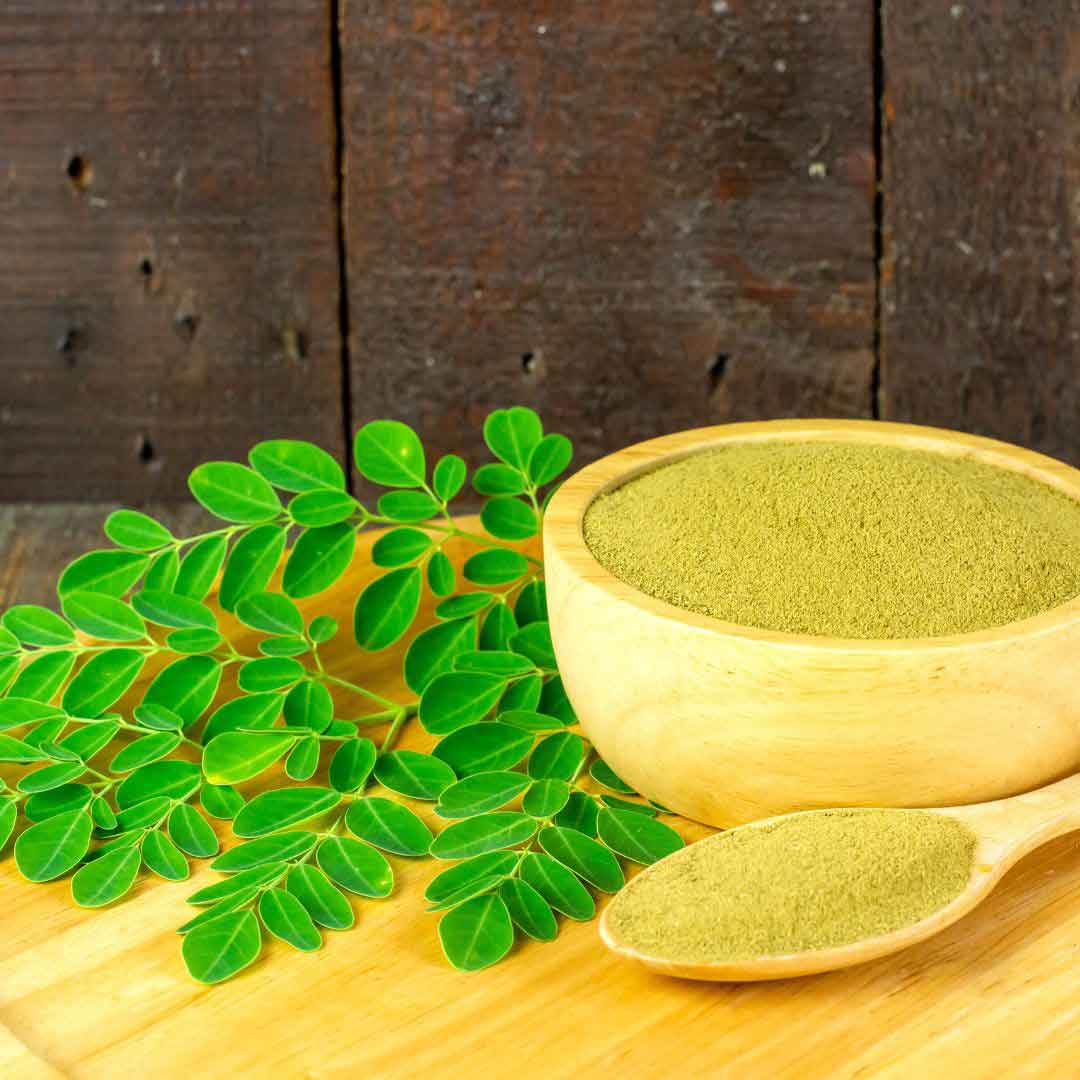 Feuilles et poudre de moringa